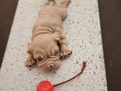 -光明招待所(邦凯科技园店)