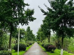 -白鹭湾湿地公园