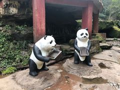 景点-碧峰峡风景区