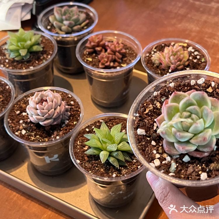 今天的烤肉吃货日记