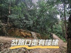 -青龙山国家森林公园