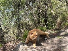 -终南山南五台景区