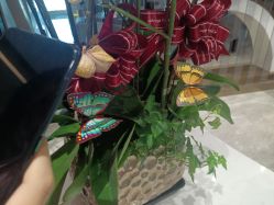 -铂诗玥医美