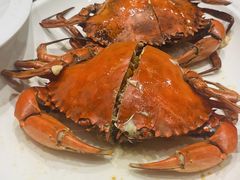 -大东海海鲜酒楼(渔人码头总店)