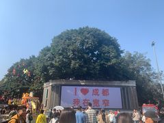 -奎星楼街