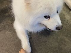 -研途咖啡馆(健康路店)