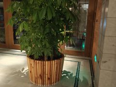 -浅深Cheersum(曹杨店)