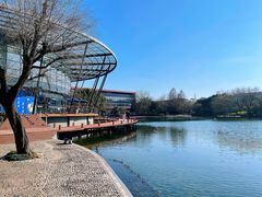 -金桥现代产业园区-停车场