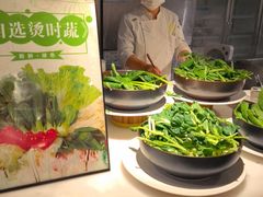 -裕龙汤泉