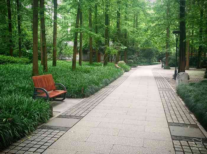 学士公园-"晚上在南山路上的胡庆余堂吃完药膳,吃得非.