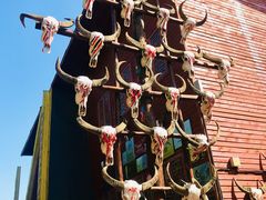 -北京呀路古热带植物园