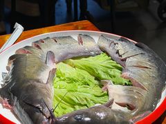 -大理.老字号渝记酸萝卜乌鱼(古城总店)