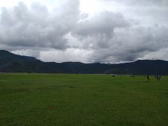 -独克宗花巷