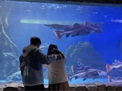 -多彩贵州城极地海洋世界