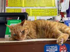 -玉华饮食店(茅台路店)