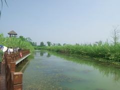 -泗洪洪泽湖湿地景区