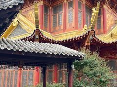 -龙潭水乡