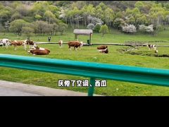 -大水川景区