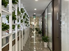 -谢冬律师团队·专注离婚案件·君澜律所