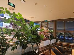 -Bco豆库(星耀天地店)