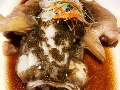 -张生记(丁香国际店)
