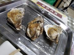 -烁佳海鲜大馅饺子