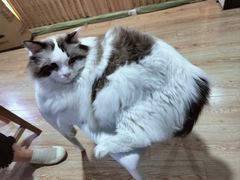 -白兔子密室(长寿路店)