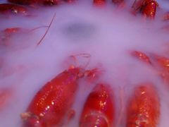 -南极·小龙虾·湘式拌饭(南街店)