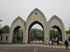 -上海佘山国家森林公园西佘山园