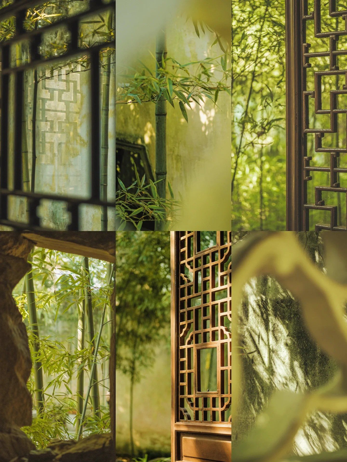 园林意境美
|感谢赐题
	
#国风古韵唯美意境