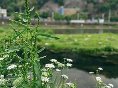 -MOJ coffee(瓯海泽雅水碓坑店)