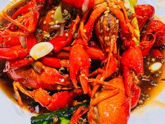 -杨氏青龙虾·羊蝎子(珠江路店)