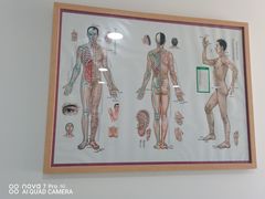 -杏林康桥中医正骨·体态矫正·跌打损伤·推拿按摩(国贸建外SOHO店)