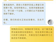 -西安小天鹅艺术团(金花路校区)