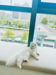 -FINE HAIR造型沙龙