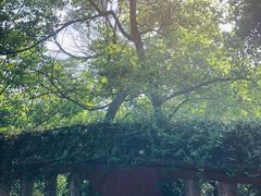 -青芝山风景名胜区