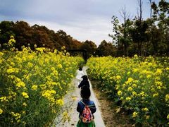 -柳鹭田园区