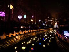 -锦江乐园舞狸花花游园会(夜场专享)