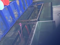 -QQ海鲜餐厅