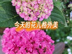 -南屏步行街
