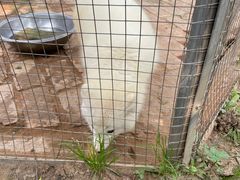 -武汉紫薇都市田园