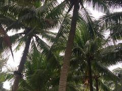 -白沙门生态公园