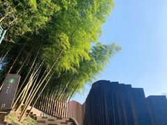 -径山寺