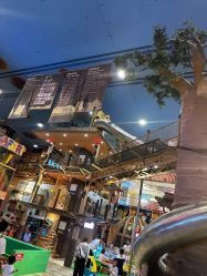 -卡通尼·Safari非洲探索乐园·生日会(金桥国际商业广场店)