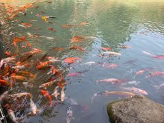 -兰溪地下长河