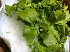 -石岐乳鸽村(南海第三分店)