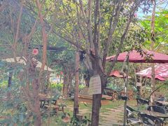-月亮眼花园餐厅书吧酒吧