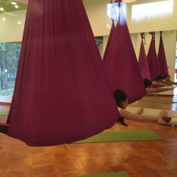 -一花一叶瑜伽生活馆