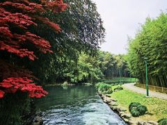 -杭州植物园