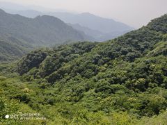-大岭沟猕猴桃谷风景区